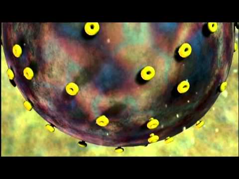 Documentary  100 Greatest Discoveries   Genetics