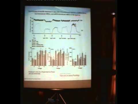 Stem cells in erectile dysfunction. prof.Ayman  A-M Elkholy