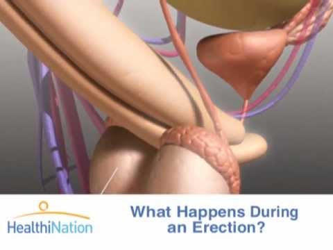 What is Erectile Dysfunction? (ED) (Part 1 of 4) | HealthiNation