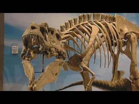 Ferocius dinosaur named Lythronax argestes and 'King of Gore' shown off in Utah