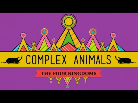 Complex Animals: Annelids & Arthropods - CrashCourse Biology #23