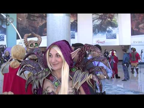 Blizzard Cosplay Fans Detail Costumes