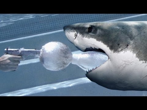 Slow Motion Underwater Guns: Shark ammo -- RatedRR