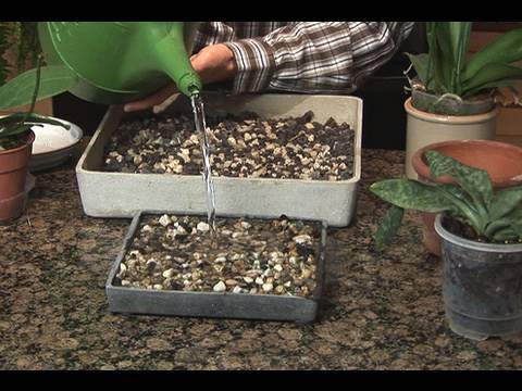 Making a Humidity Tray