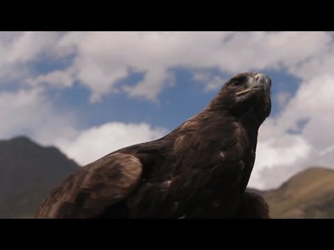 Kyrgyzstan's Golden Eagle Hunters