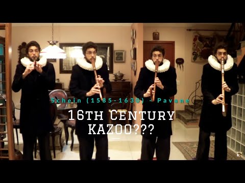 Johann Schein (1585-1630) - Padouane (Pavane)  - CRUMHORN CONSORT