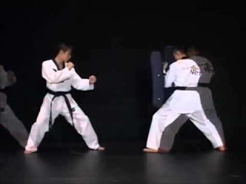 Taekwondo: Revolution of kicking vol.1/2 in inglish