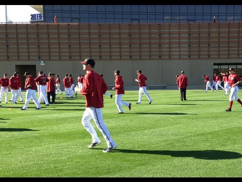 What do D-backs do at spring training?