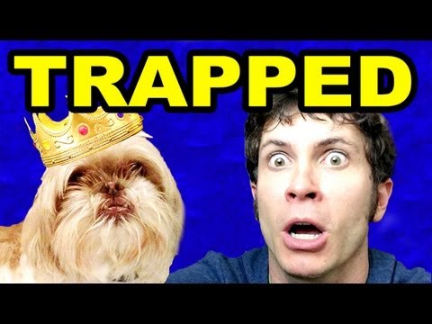 TRAPPED in MY DOG'S COMMERCIAL: Ting