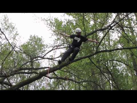 Branchwalking | Basic tree climbing techniques