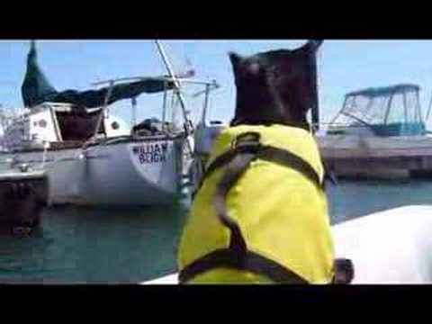 Lava jumping to s/v William Bligh from Zodiac.