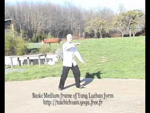 Yang Luchan form - Basic degree (neutral earth of Hohn style)