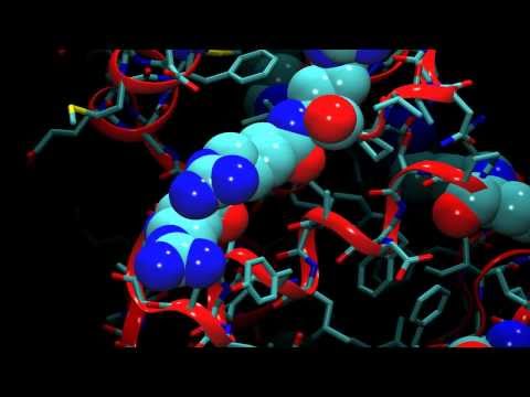 An Introduction to Molecular Dynamics