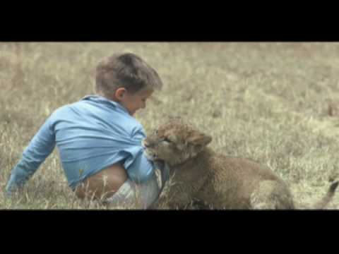 George Schaller, Ph.D., Wildlife Conservation Society