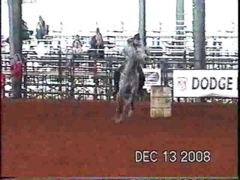 Blue N Silver Rapper Juvenile Futurity