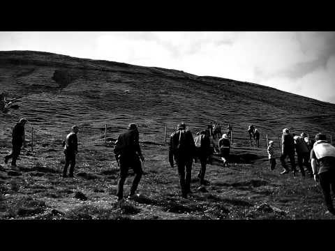 Nephew - Søndagsbange