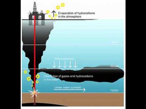 The BP Oil Spill