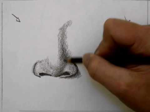 How to Draw a Nose