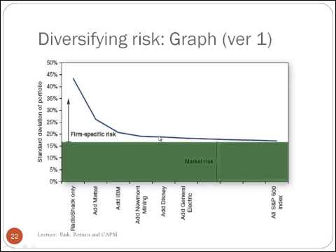 Finance Lecture - Risk, Return and CAPM