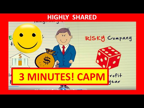 CAPM Capital Asset Pricing Model in 3 Minutes