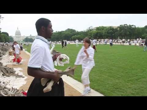 One Million Bones on the National Mall