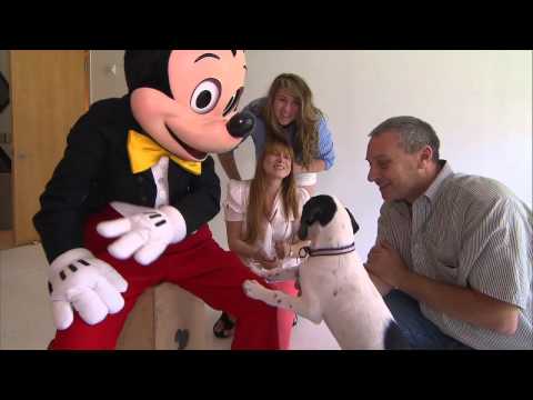 Lucky Dog! Mickey Meets Lily, His Biggest Four-Legged Fan