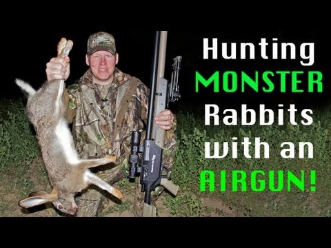 Extreme Airgun Hunting - Giant rabbits with the Benjamin Rogue .357