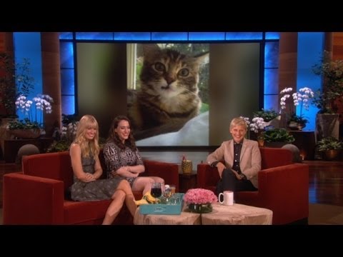 '2 Broke Girls' and Their Pets!