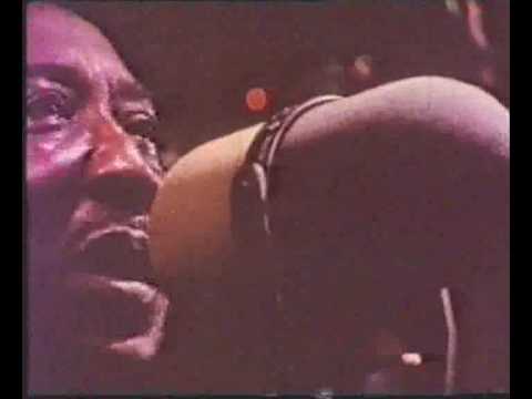 Muddy Waters - Hoochie Coochie Man (1970)