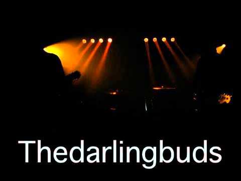 It's amazing - The Darling Buds