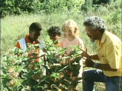 The Nature Connection with David Suzuki - Episode #2 Urban Ecology