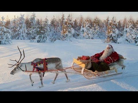 Santa Claus and Reindeer on the road - Lapland - Finland - Rovaniemi - Father Christmas