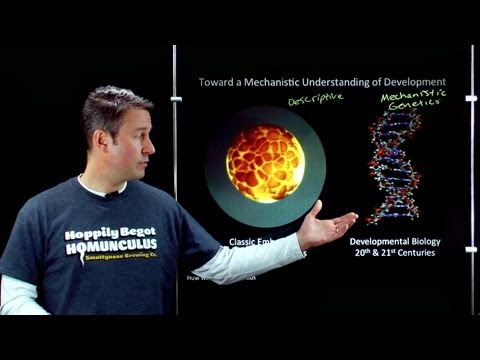 Online Developmental Biology: Unit 1, Lecture 1 - 