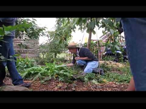 Eric Toensmeier Edible Forest Garden Workshop (1/3)