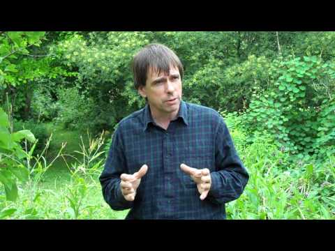 Martin Crawford's Forest Garden Part 1