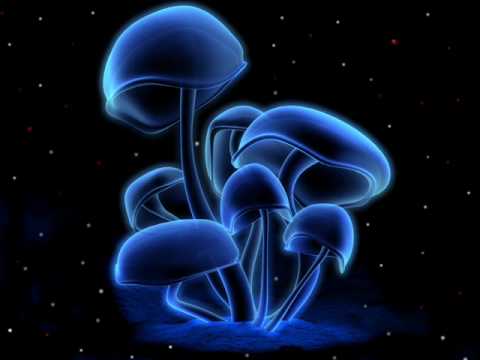 Infected mushroom-Muse Breaks