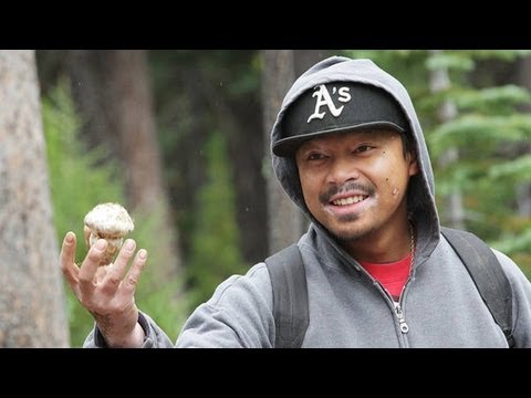 Matsutake Mushroom Hunting in Oregon - 2013