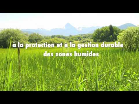 Video for World Wetlands Day (Danone, LPO, Ramsar Convention)