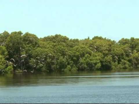 Moreton Bay Ramsar Convention