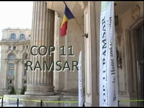 Ramsar COP11movie