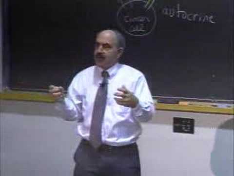 Lec 20 | MIT 7.012 Introduction to Biology, Fall 2004