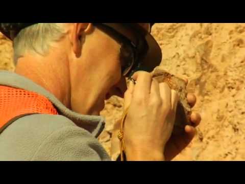 Newmont Gold Mine produce in nevada