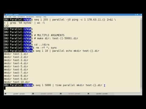 Part 2: GNU Parallel script processing and execution