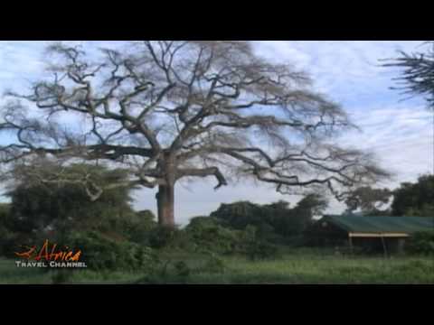 Visit Tanzania & Zanzibar Island - Africa Travel Channel