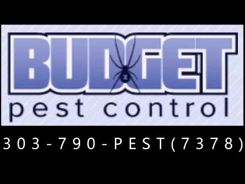 Pest Control Aurora - The Preferred Pest Control Aurora Co CALL (303)790-PEST