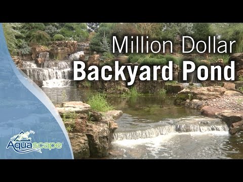 Million Dollar Backyard Pond