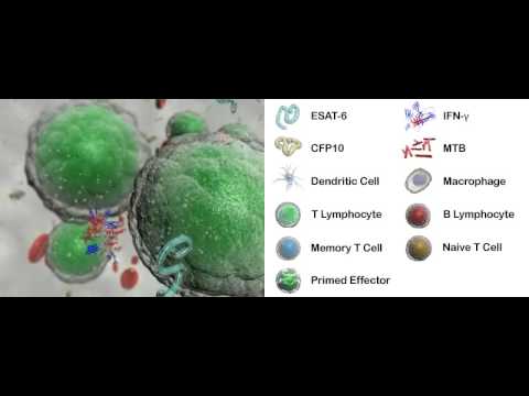 Learning Zone Movie 1 - BCG, Genomic Deletions and RD1 Antigen