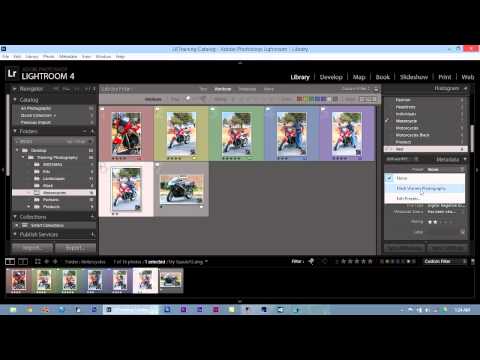 Lightroom Keywording, Metadata and Collections