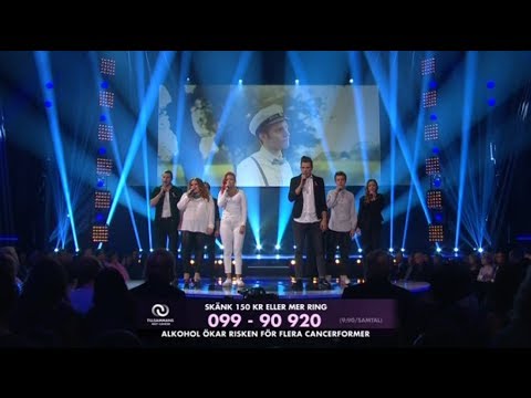 Edvin Berg -- I Will Be Here feat. Idol (Live Cirkus 2013)