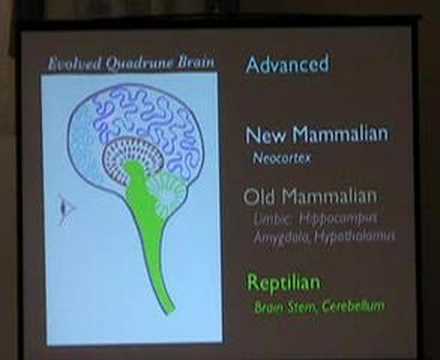 4-Part Evolutionary Human Brain